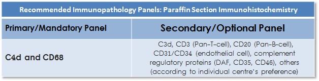 Immunopathology Panels: Paraffin Section Immunohistochemistry