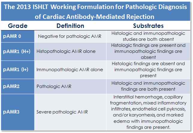 The ISHLT Working Formulation for Pathologic Diagnosis of Cardiac Antibody Mediated Rejection